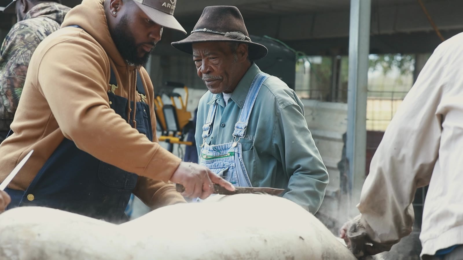Working the hog with an elder