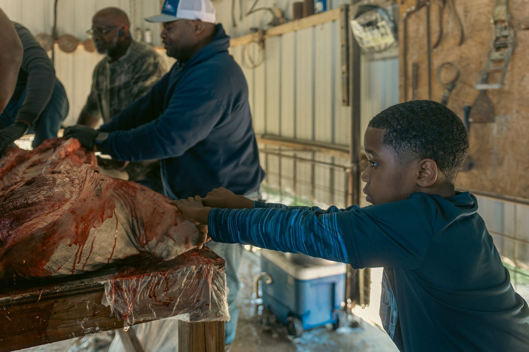 A young boy helping hold the hog at the Zeno boucherie